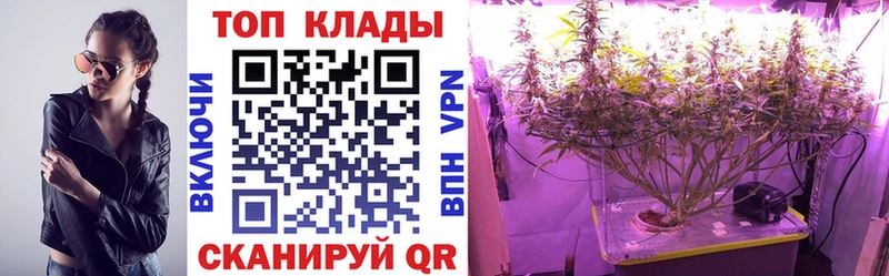 Купить наркотики сайты Долгопрудный Марихуана  Галлюциногенные грибы  Гашиш  Меф 