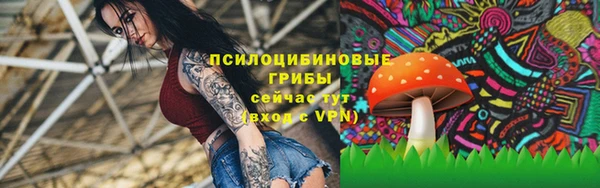 МДПВ Зерноград