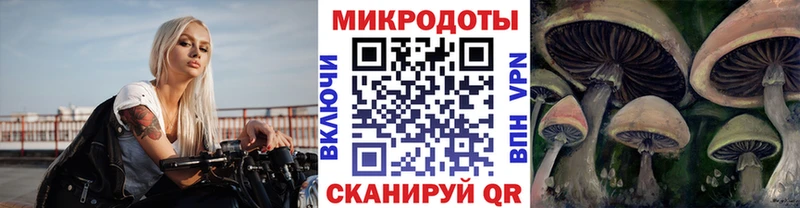 Псилоцибиновые грибы Cubensis  Долгопрудный 