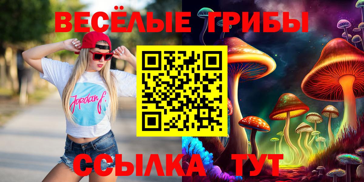 Псилоцибиновые грибы Psilocybe  Галлюциногенные грибы Psilocybine cubensis  Долгопрудный 