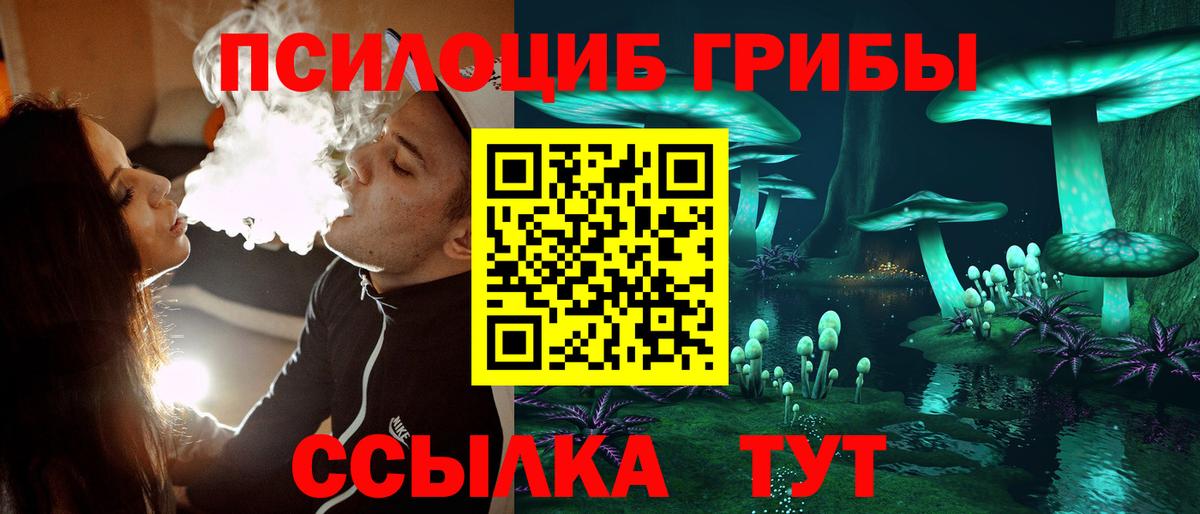 где можно купить   Вход с VPN  Долгопрудный  Псилоцибиновые грибы ЛСД 